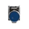 Illuminated push button, Harmony XB4, metal, blue flush, 22mm, universal LED, plain lens, 1NO + 1NC, 110...120V AC