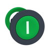 FLUSH MOUNTED GREEN FLUSH CAPS PUSHBUTTON HEAD WHITE MARKED I