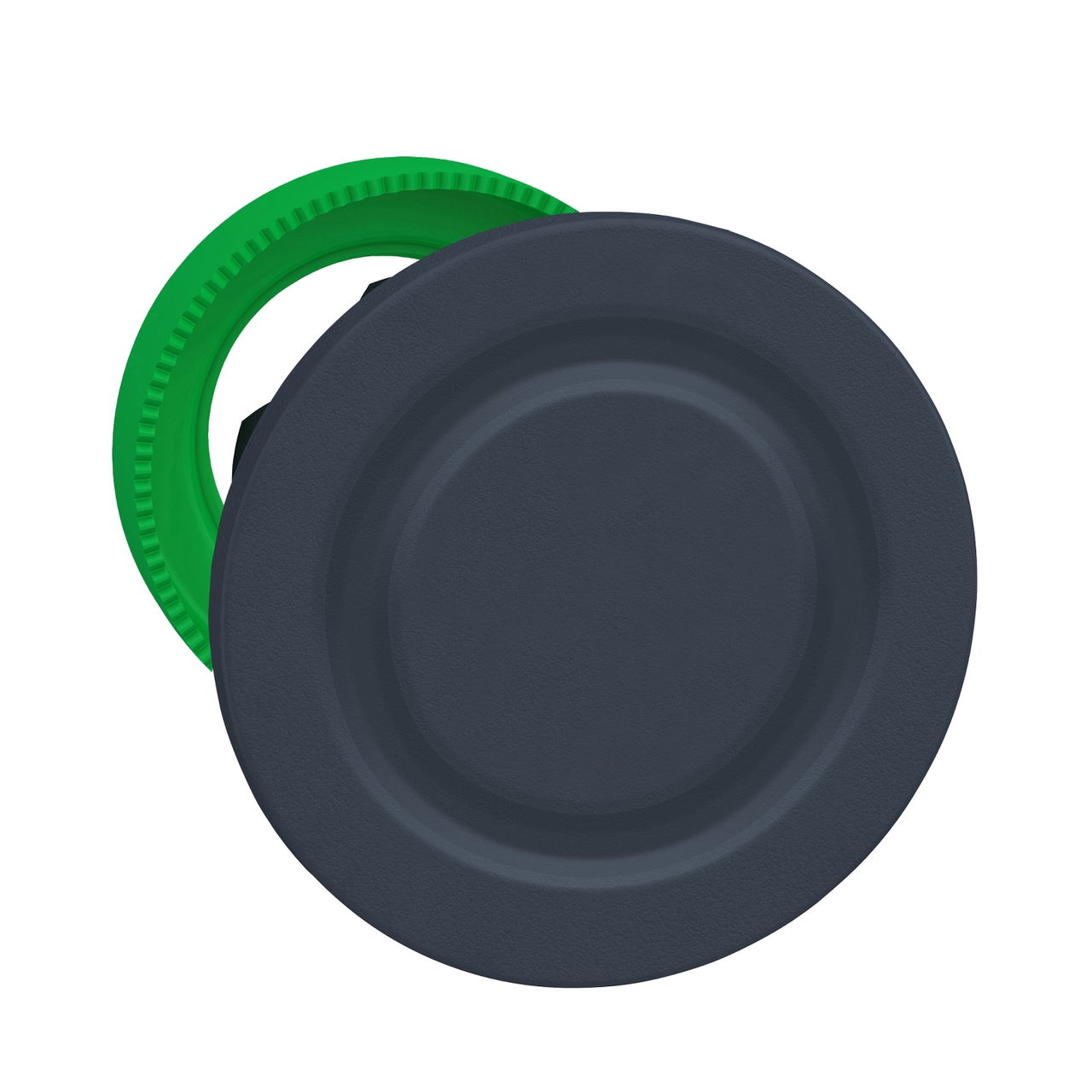 Flush blanking plug