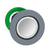 FLUSH WH FLUSH CAP ILL PBHEAD INT LED PP