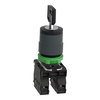 Selector switch 230VAC 2A XB5 +options