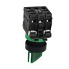 Illuminated selector switch, Harmony XB5, dark grey plastic, green handle, 22mm, universal LED, 2 positions, 1NO + 1NC, 24V AC DC