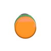 Monolithic pilot light, Harmony XB5, grey plastic, orange, 22mm, universal LED, plain lens, 24V AC DC