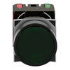 Green flush complete illum pushbutton Ø16 spring return 1NO+1NC 12...24V