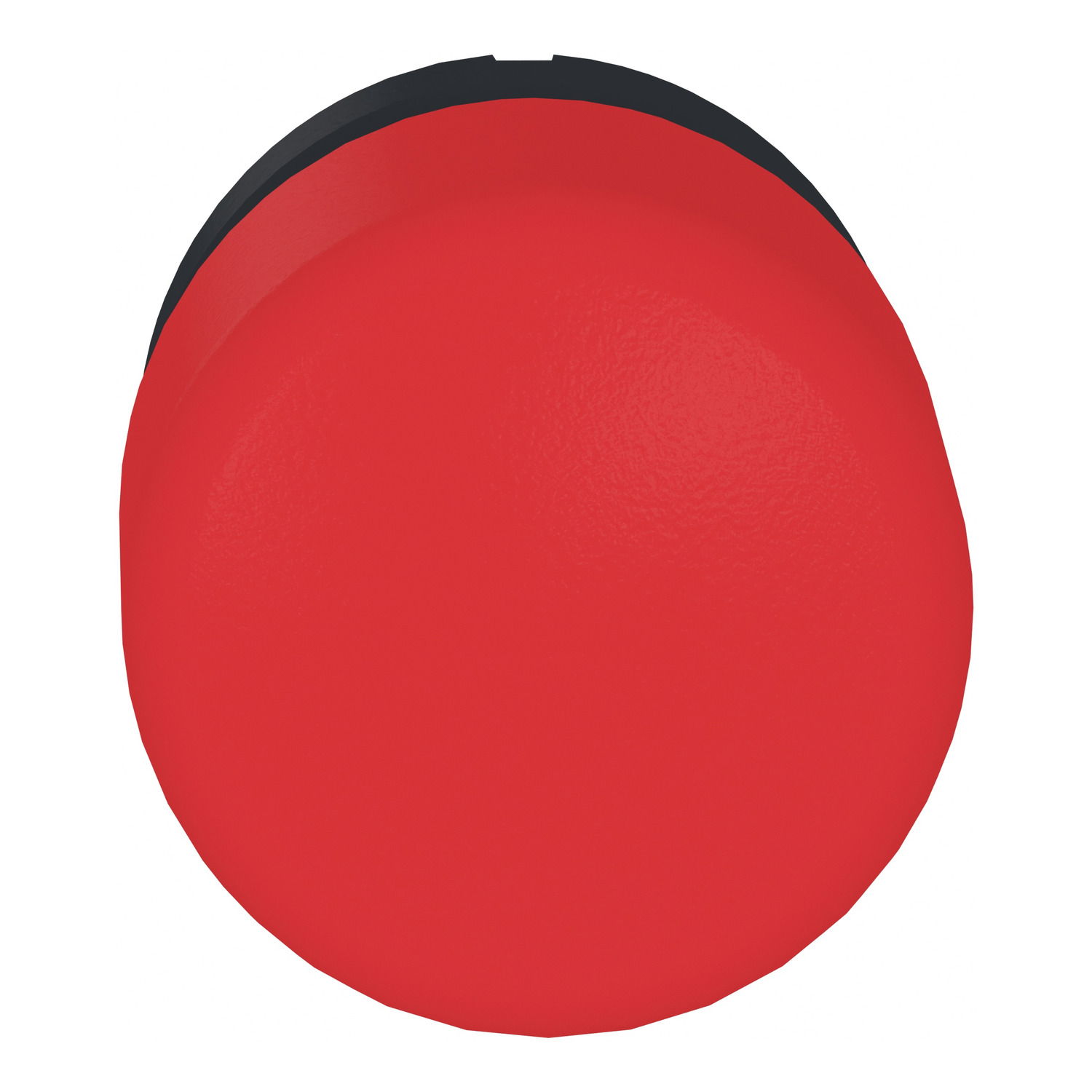 Red Ø30 mushroom pushbutton head Ø22 spring return – Image 4 of 9