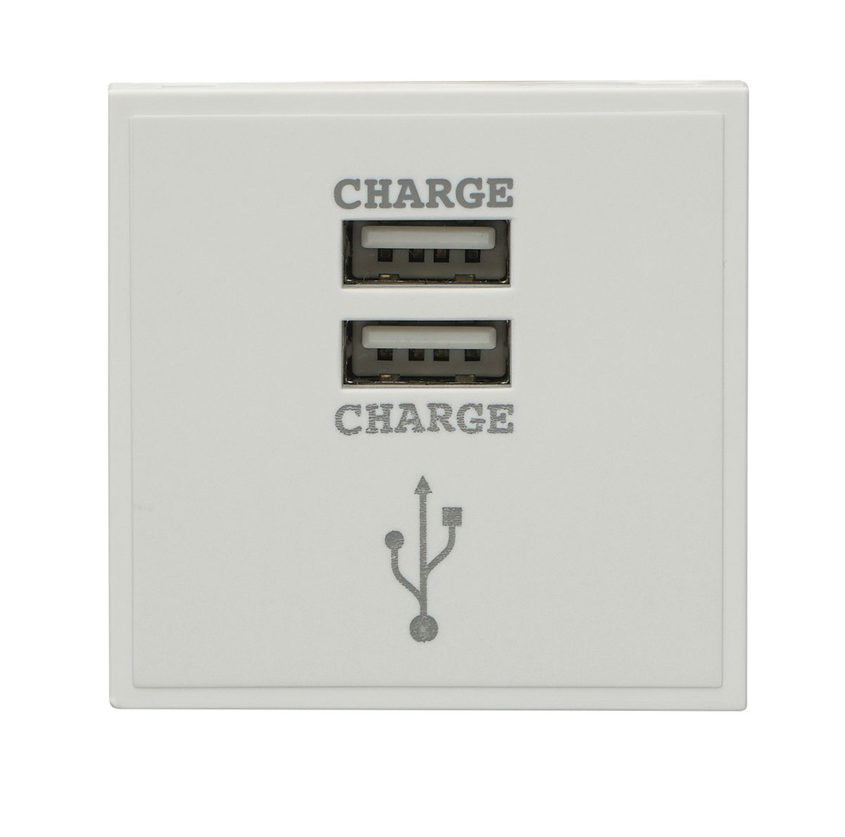 USB Dual 2X1A 5V Output