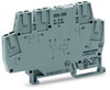Relay module Nominal input voltage: 24 VDC 1 changeover contact gray
