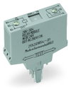 Relay module Nominal input voltage: 24 VDC 1 changeover contact gray