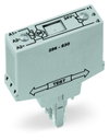 Bridge rectifier module Input voltage: 24 VAC with varistor protective circuit gray