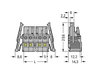 1-conductor female connector CAGE CLAMP® 2.5 mm² gray