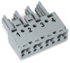 Socket 4-pole Cod. B gray