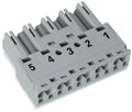 Plug 5-pole Cod. B gray