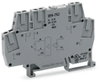 Optocoupler module Nominal input voltage: 5 VDC Output voltage range: 20 … 28.8 VDC gray