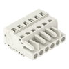 1-conductor female connector CAGE CLAMP® 2.5 mm² light gray