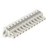 1-conductor female connector CAGE CLAMP® 2.5 mm² light gray