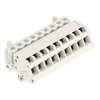 1-conductor female connector, angled CAGE CLAMP® 2.5 mm² light gray