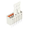 1-conductor THT female connector straight push-button Push-in CAGE CLAMP® light gray