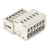 1-conductor male connector CAGE CLAMP® 0.5 mm² light gray