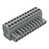 1-conductor female connector, angled CAGE CLAMP® 2.5 mm² gray