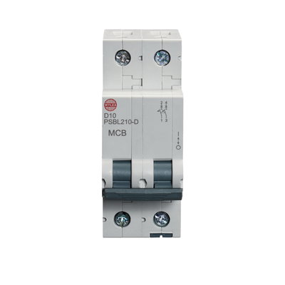 10A Double pole MCB D curve 10kA