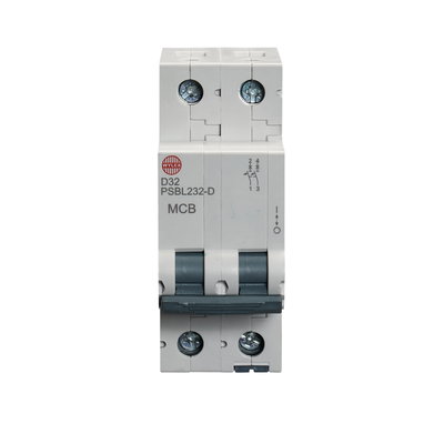 32A Double pole MCB D curve 10kA