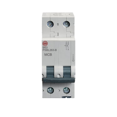 63A Double pole MCB B curve 10kA