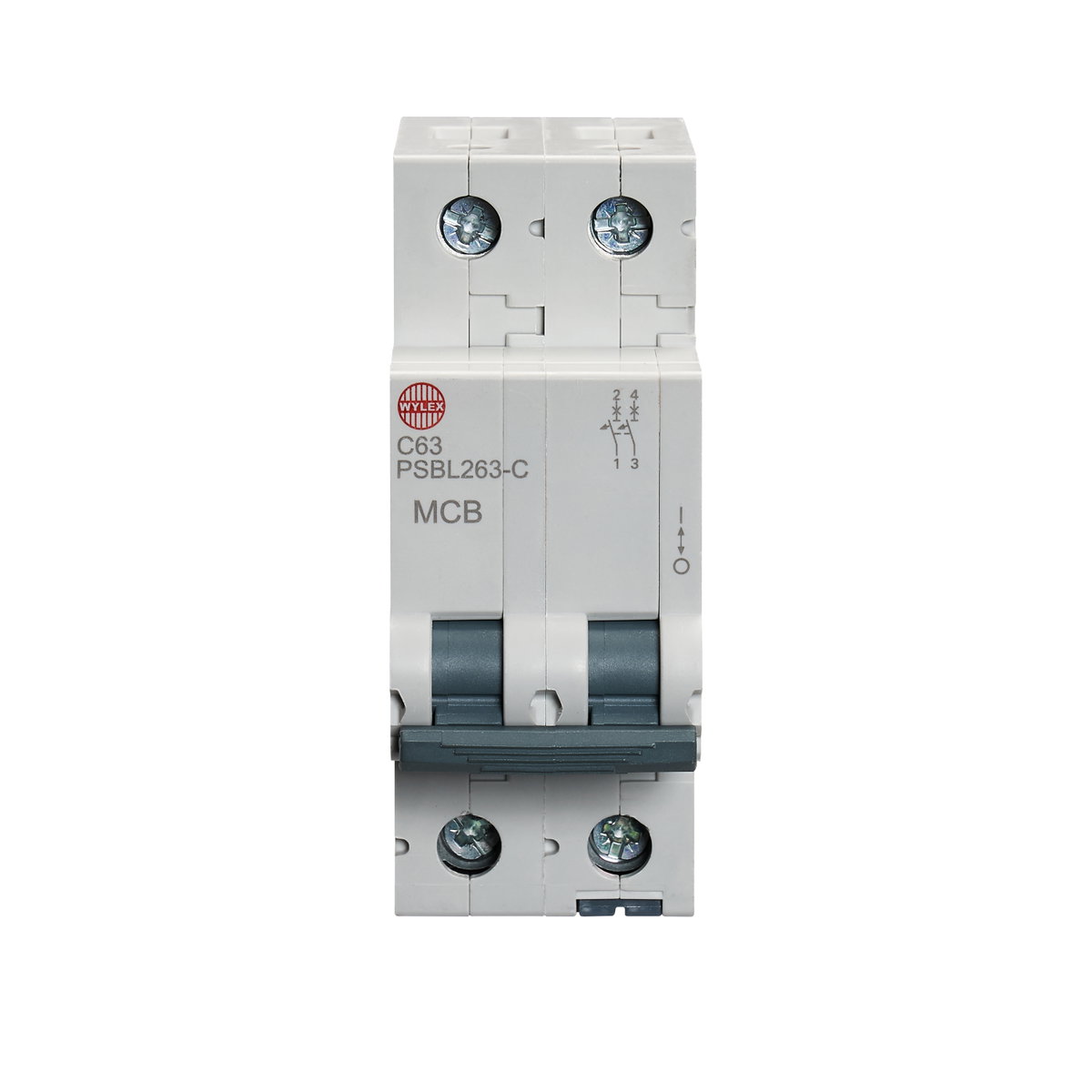 63A Double pole MCB C curve 10kA