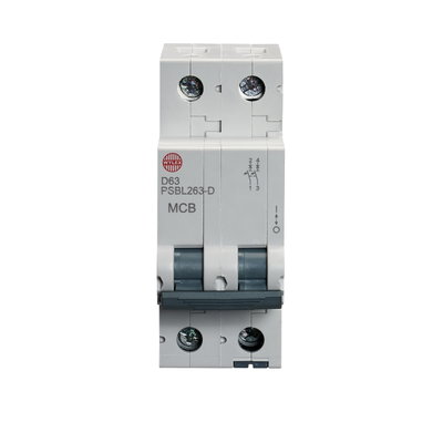 63A Double pole MCB D curve 10kA