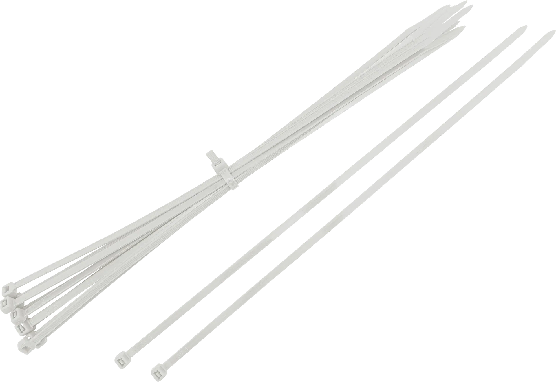CT300X4.8N/100-01
