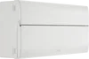 CF22MS19-02