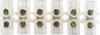 TS2.5/6/1-BG