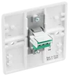 8RJ11/1-01