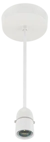566-01