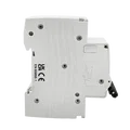 20A – D Curve