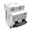 100A, Double pole, Industrial Type MCB, 10kA, B curve (3 modules wide)
