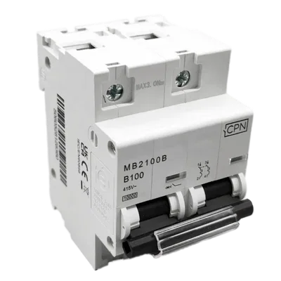 100A, Double pole, Industrial Type MCB, 10kA, B curve (3 modules wide)