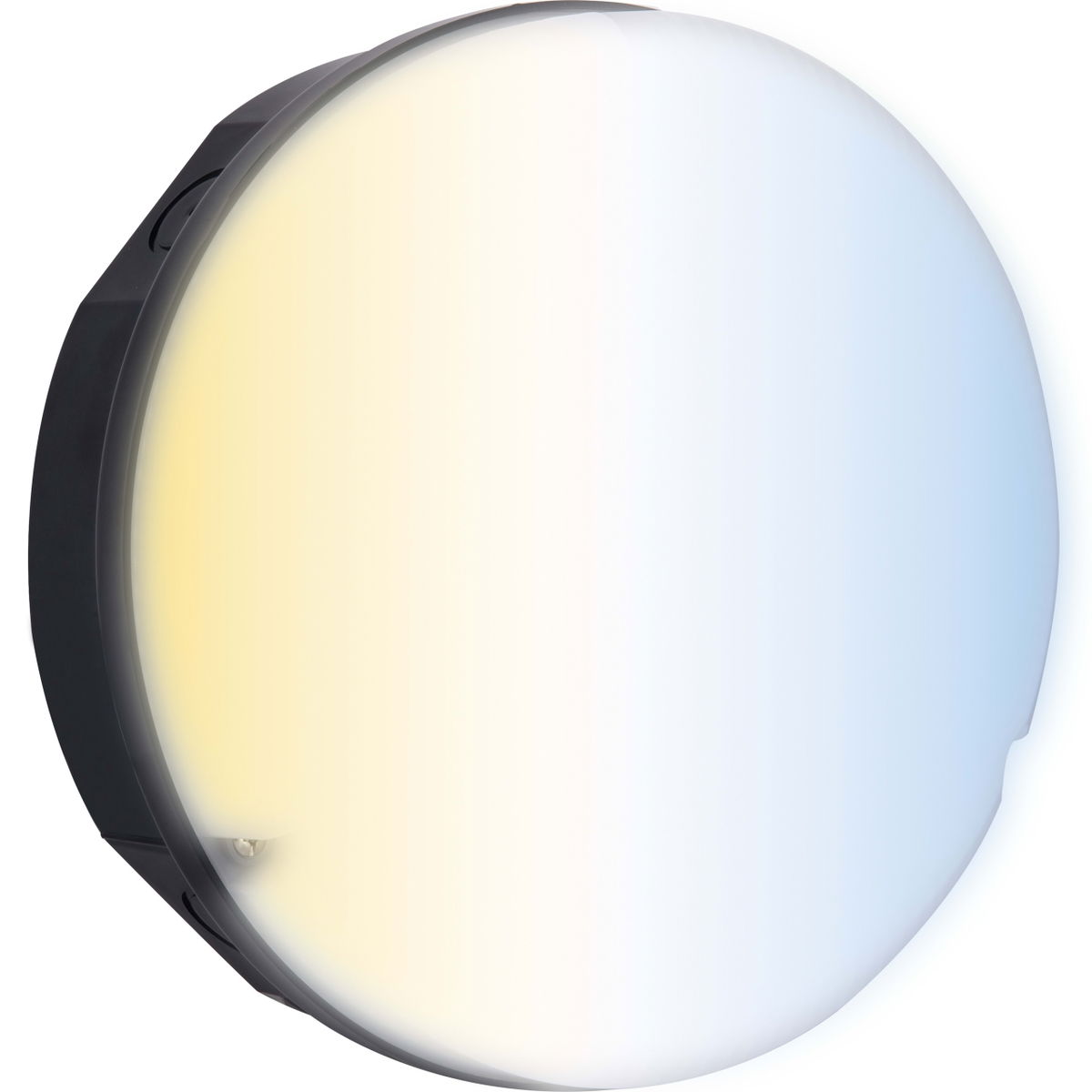Luceco LED Bulkhead Light, Indoor & Outdoor Wall & Ceiling Lighting, Mosi Round Fixed Output Driver, 200mm, Commercial & Residential Use, 6/10/13W CCT 3/4/5/6000K IP65 IK08 Class 2, Black