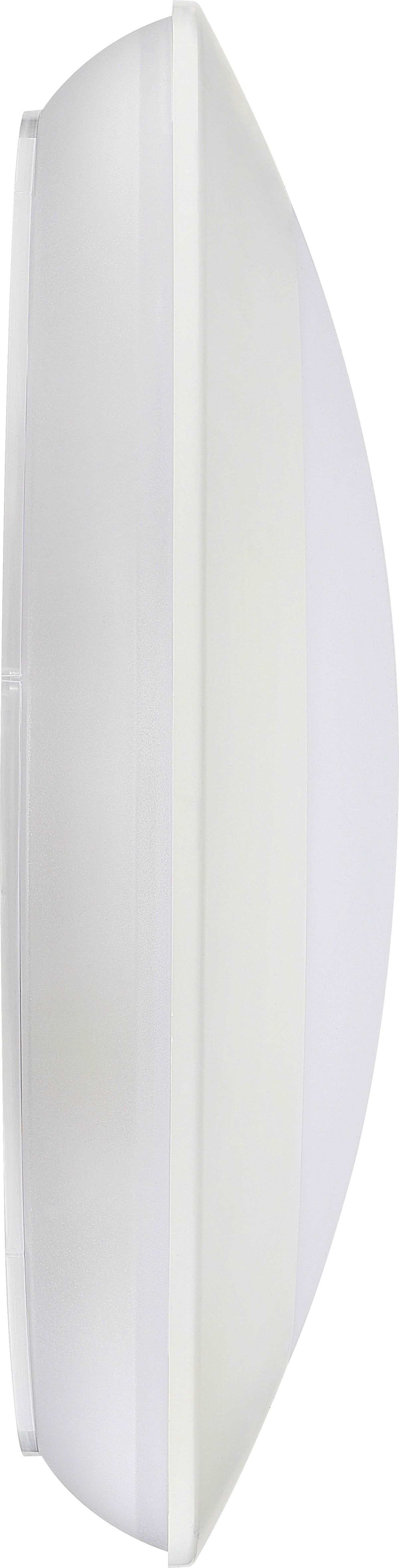 Celeste bulkhead 440mm 3200lm 24.6W 4000K fixed output and em and microwave MW