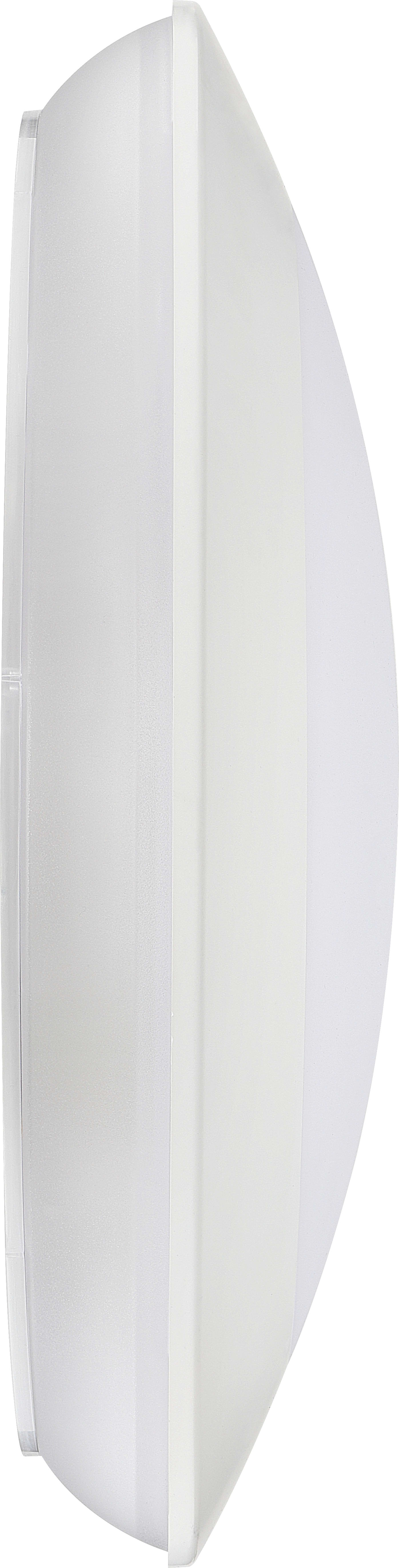 Celeste bulkhead 440mm 3200lm 24.6W 4000K fixed output and em and microwave MW