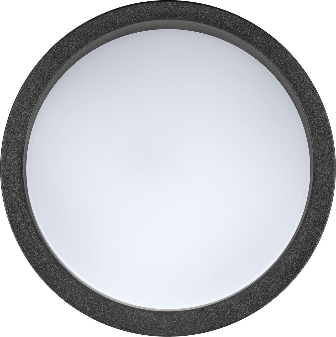Luceco Liptus Decorative Outdoor Bulkhead Wall  Light with Colour Change (CCT), LED Exterior Lighting, Black, 220mm, IP65, 15W, 1350lm