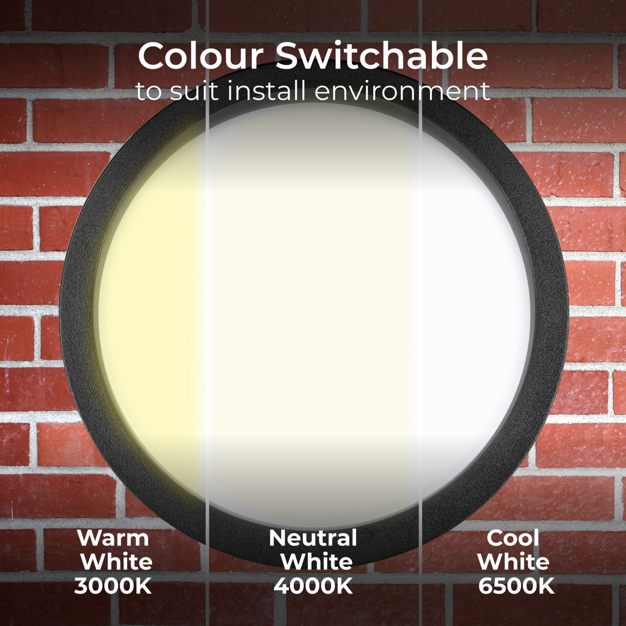 Luceco Liptus Decorative Outdoor Bulkhead Wall  Light with Colour Change (CCT), LED Exterior Lighting, Black, 220mm, IP65, 15W, 1350lm
