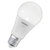 SMART+ MATTER Tunable White Classic A75 9.5W E27