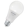 SMART+ MATTER Multicolor Classic A100 14W E27