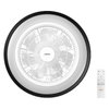 Ceiling fan Murlan 490mm 43W CCT RGB