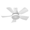 Ceiling fan Leste 445mm 21W CCT