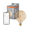 SMART+ MATTER Filament Dimmable Classic Globe 53 6W 824 Gold E27