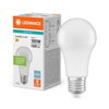 LED Classic A 100 V 13W 865 Frosted E27