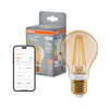 SMART+ MATTER Filament Dimmable Classic A53 6W 824 Gold E27