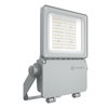 FL FLEX P 40W ML 830 A55X120 WAL