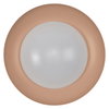 Orbis Plate 310mm 19W 830 Click DIM Rose